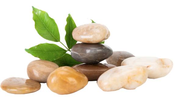  Điền vào chỗ trống. x… màu (ảnh 1)