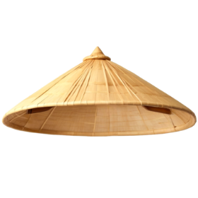  Điền vần vào chỗ trống: n… lá (ảnh 1)