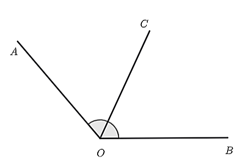 Cho   ˆ A O B = 130 ∘   và   O C   là tia phân giác của   ˆ A O B  . Số đo   ˆ B O C   là (ảnh 1)