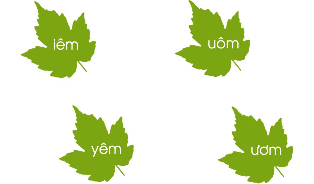  Điểm giống nhau giữa các vần sau là gì? (ảnh 1)