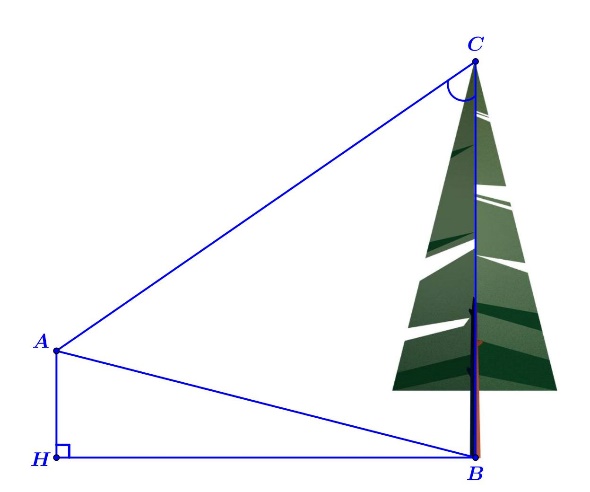Từ vị trí  A   người ta quan sát một cây cao.   Biết   A H = 4 m  ,   H B = 20 m  ,   ˆ B A C = 45 ∘  . Khi đó chiều cao của cây (làm tròn đến hàng phần mười) bằng (ảnh 1)