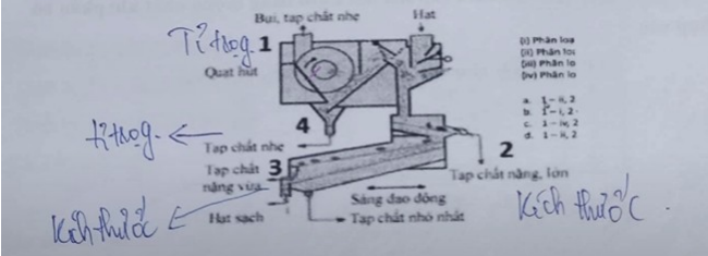 Chọn câu trả lời đúng (ảnh 1)