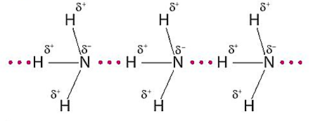 Ở trạng thái lỏng nguyên chất, phân tử chất nào sau đây tạo được liên kết hydrogen với nhau? (ảnh 1)