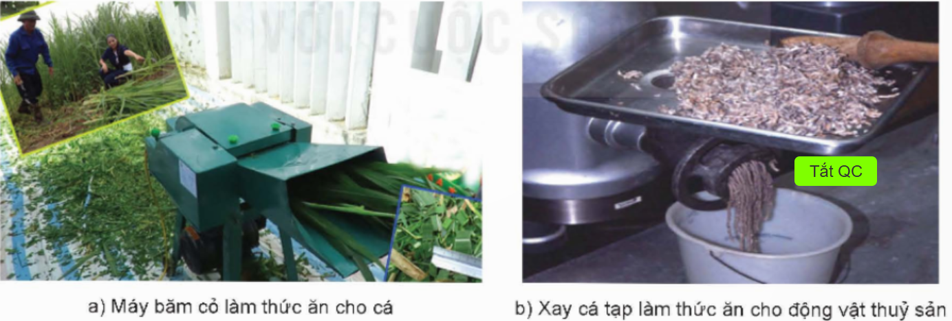 Cách chế biến trong hình dưới đây là kiểu chế biến thức ăn thuỷ sản nào? (ảnh 1)