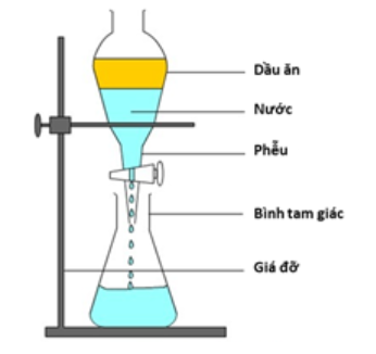Quan sát hình dưới đây và cho biết:Tách dầu ăn ra khỏi hỗn hợp dầu ăn và nướcNhận xét nào sau đây không đúng về hỗn hợp dầu ăn và nước? (ảnh 1)