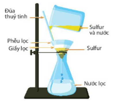 Quan sát cốc đựng hỗn hợp sulfur và nước, em hãy cho biết:Sulfur có tan trong nước không? (ảnh 1)
