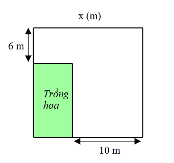 Bác Quang có một mảnh đất hình vuông cạnh   x ( m ) ,   bác muốn trồng hoa vào mảnh đất hình chữ nhật ở góc vườn (như hình vẽ). Biết diện tích trồng hoa là   60 ( m 2 ) .      a) Diện tích mảnh đất hình vuông đó là   x 2 ( m 2 ) .    b) Biểu thức biểu diễn diện tích phần đất trồng hoa là   ( x − 6 ) ( x − 10 ) ( m 2 ) .    c) Độ dài cạnh của mảnh đất hình vuông đó là   15 ( m ) .    d) Diện tích phần còn lại của khu vườn lớn hơn   185 ( m 2 ) . (ảnh 1)