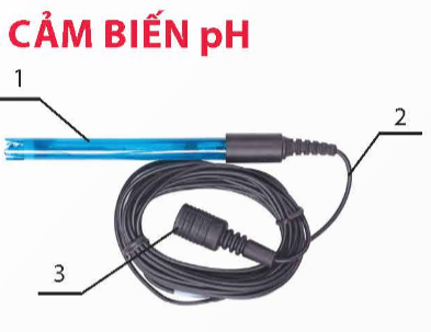  Cho hình ảnh của cảm biến pH sau, vị trí số 3 sẽ được nối vớ (ảnh 1)