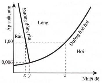 Hình vẽ là 