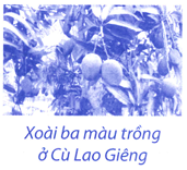 index_html_4a72635087e2f78e.png