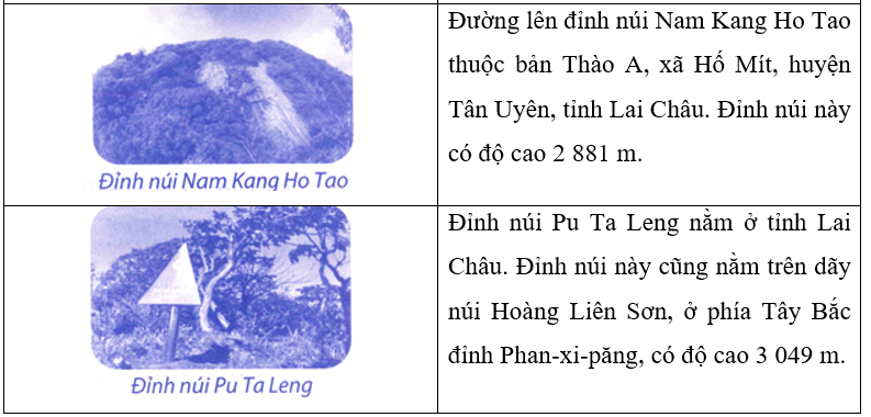 index_html_e30626e5760aeb8c.png