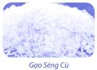 index_html_8ced6f2e38bb921d.png