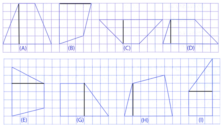 index_html_8f7008d9a7791a33.png