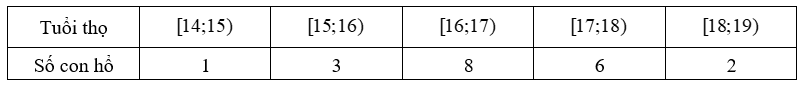 index_html_72a43c1b2e94645b.png