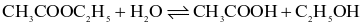 index_html_9eec44a7c29035d1.gif