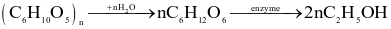index_html_982cec4605e2511a.gif