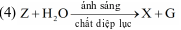 index_html_5a688172251dbea6.gif