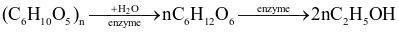 index_html_c8d2eb3be56e369a.gif