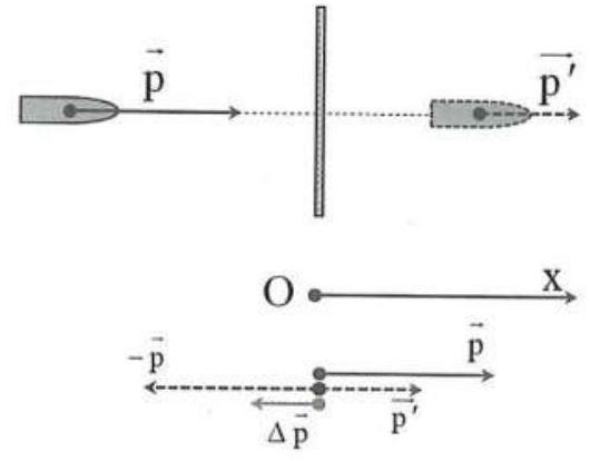 index_html_f5c296674eaace28.jpg
