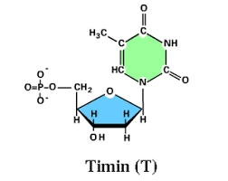 index_html_b60551acb02fb890.png