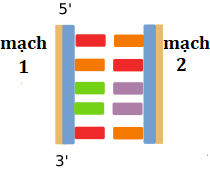 index_html_f9273ccb22a3ec62.png