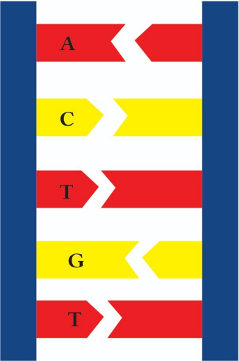 index_html_2f2d187a89a4b2c0.png
