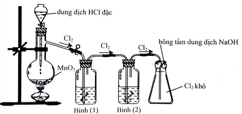 index_html_e6814e07a5cf4e85.jpg