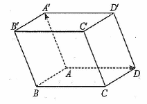 Hình ảnh 1