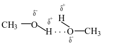 index_html_b4508b11473c181c.gif