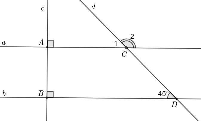 Cho đường thẳng  c  cùng vuông góc với hai đường thẳng  a  và  b  lần lượt tại hai điểm  A  và  B . Đường thẳng  d  cắt hai đường thẳng  a  và  b  lần lượt tại hai điểm  C  và  D  (như hình vẽ). Biết  ˆ D 1 = 45 ∘ . (ảnh 1)