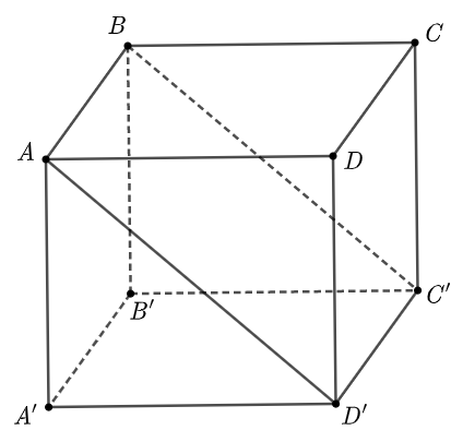 Cho hình hộp chữ nhật  A B C D . A ′ B ′ C ′ D ′ . Mặt phẳng nào sau đây không là mặt của hình hộp chữ nhật? (ảnh 1)