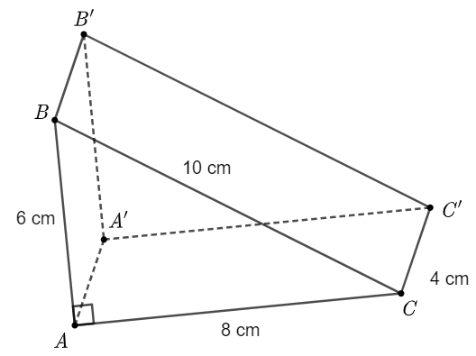(a) Cho hình lập phương có diện tích một mặt là 144 m2. Tính thể tích của hình lập phương đó.
(b) Một cái bánh ngọt có dạng hình lăng trụ đứng tam giác có kích thước như hình vẽ. Người ta là (ảnh 2)