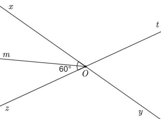 Cho hình vẽ bên.(a) Kể tên các cặp góc đối đỉnh trong hình.(b) Vẽ O m là tia phân giác của góc ˆ x O z . Tính số đo góc ˆ t O y ; ˆ x O t ; ˆ m O x . (ảnh 2)