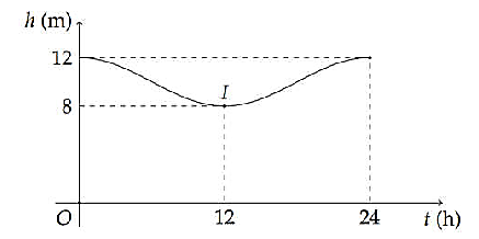 Mực nước cao nhất tại một cảng biển là 12 m khi thủy triểu lên cao và sau 12 giờ khi thủy triều xuống thấp thì mực nước thấp nhất là 8 m. Đồ thị dưới đây mô tả sự thay đổi chiều cao của mực nước tại cảng trong vòng 24 (ảnh 1)