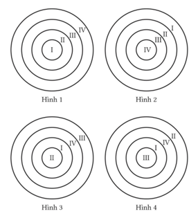 Cho biết:
I: kích thước sợi cơ bản,
II: kích thước sợi nhiễm sắc;
III: kích thước sợi siêu xoắn;
IV: kích thước cromatid.

Hình mô tả đúng mối liên hệ về kích thước theo thứ tự từ nhỏ đến lớn (ảnh 1)