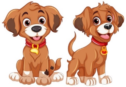 Listen and choose the correct answer.
Audio 05 (ảnh 4)