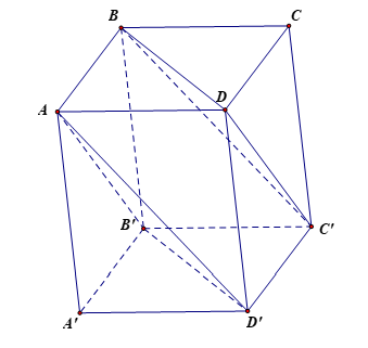 Cho hình hộp A B C D . A ′ B ′ C ′ D ′ . Mặt phẳng ( A B ′ D ′ ) song song với mặt phẳng nào trong các mặt phẳng sau đây? (ảnh 1)