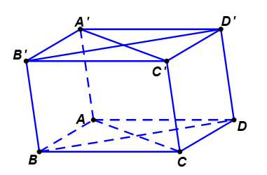 Cho hình hộp A B C D . A ′ B ′ C ′ D ′ (tham khảo hình vẽ bên dưới)Mệnh đề nào sau đây sai? (ảnh 1)