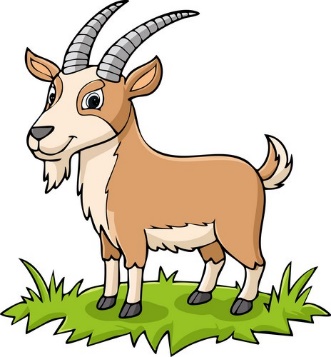 Listen and choose the correct answer The _________ is small. (ảnh 1)