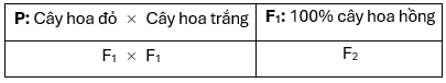 Ở cây hoa mõm chó Antirrhinum majus, tính trạng màu hoa do một gene có 2 allele nằm trên nhiễm sắc thể thường quy định. Allele A1 quy định màu hoa đỏ trội không hoàn toàn so với allele A2 quy (ảnh 1)
