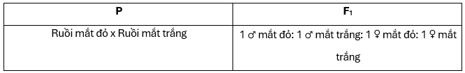 Ở ruồi giấm, gene W quy định màu mắt đỏ trội hoàn toàn so với gene w quy định mắt trắng, các gene này nằm trên vùng không tương đồng của nhiễm sắc thể X. Xét bảng sau:

Phép lai P có thể xác  (ảnh 1)