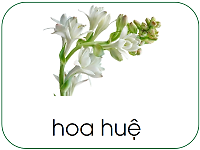 Hình ảnh dưới đây chứa vần nào?
 (ảnh 1)