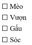 Các bạn của thỏ là những ai?
 (ảnh 1)