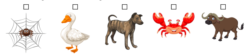 Những con vật đó là con gì
(ảnh 1)