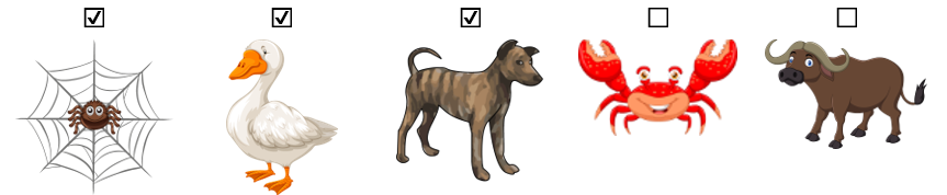 Những con vật đó là con gì
(ảnh 2)