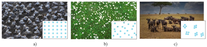 Hình a) mô tả kiểu phân bố? (ảnh 1)