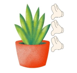 Chậu cây cao khoảng:
 (ảnh 1)