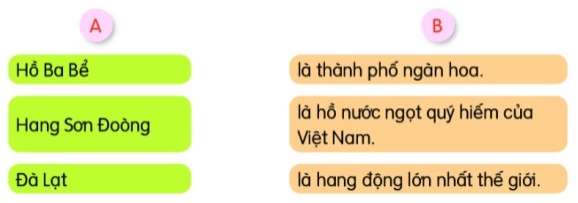 Kết hợp từ ngữ ở cột A với từ ngữ ở cột B để tạo c&acirc;u giới thiệu. (1 điểm)
 (ảnh 1)