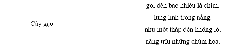 Từ ngữ nào trong bài văn cho ta thấy cây gạo có những cử chỉ giống như con người? Nối với đáp án em cho là đúng (1 điểm)
 (ảnh 1)
