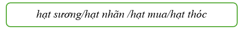 Em hãy chọn chủ ngữ trong khung để hoàn thành câu văn sau:

Ngoài hiên, ………….. tí tách rơi từng giọt, lăn trên mái nhà trườn xuống ống nước rồi đáp xuống đất một cách nhẹ nhàng.
(Theo Tuyết T (ảnh 1)